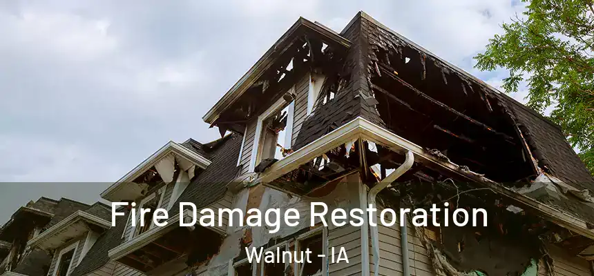  Fire Damage Restoration Walnut - IA