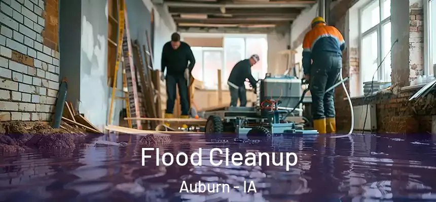  Flood Cleanup Auburn - IA