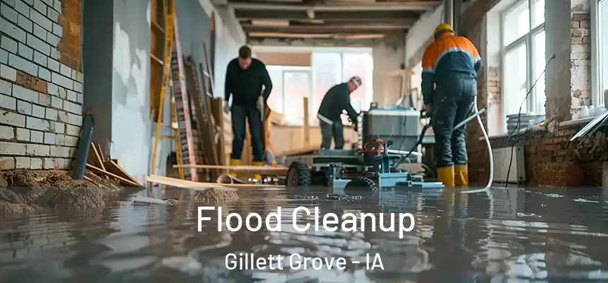  Flood Cleanup Gillett Grove - IA