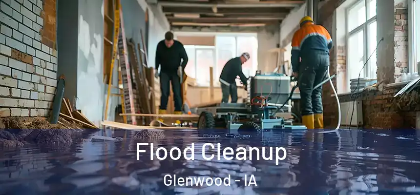 Flood Cleanup Glenwood - IA