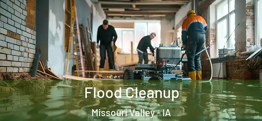 Flood Cleanup Missouri Valley - IA