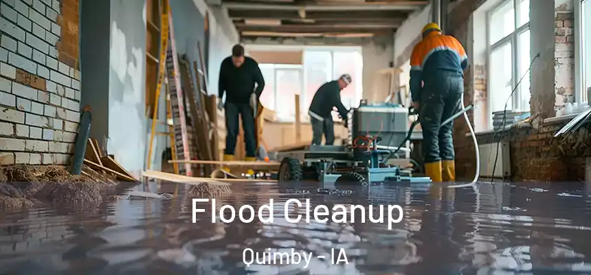 Flood Cleanup Quimby - IA