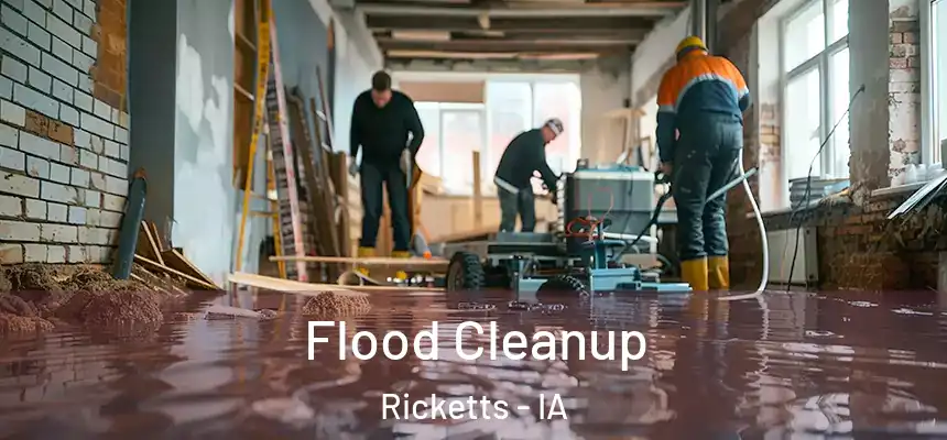 Flood Cleanup Ricketts - IA