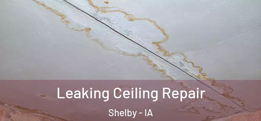 Leaking Ceiling Repair Shelby - IA