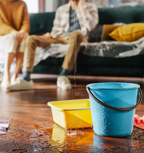 Trusted Water Restoration Company in Shelby, IA