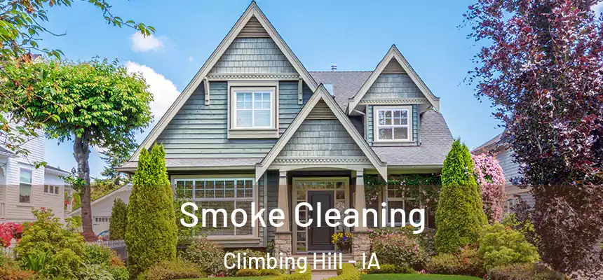 Smoke Cleaning Climbing Hill - IA