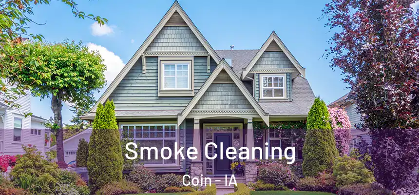  Smoke Cleaning Coin - IA