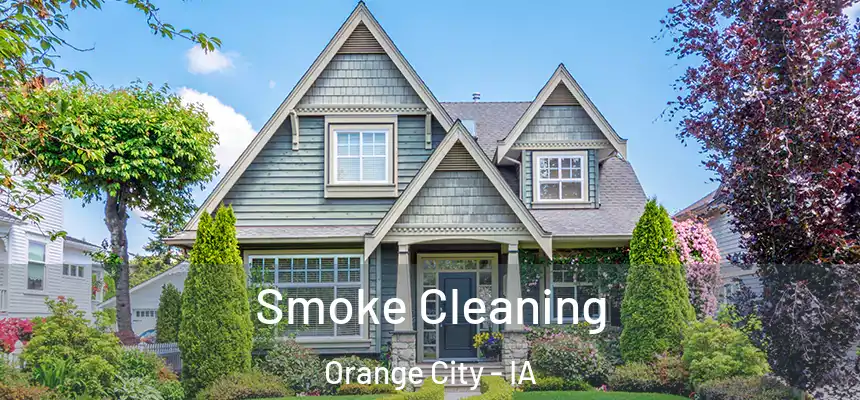  Smoke Cleaning Orange City - IA